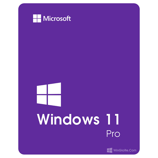 Microsoft Windows Pro 11 64Bit Eng Intl 1pk DSP OEI DVD FQC-10528
